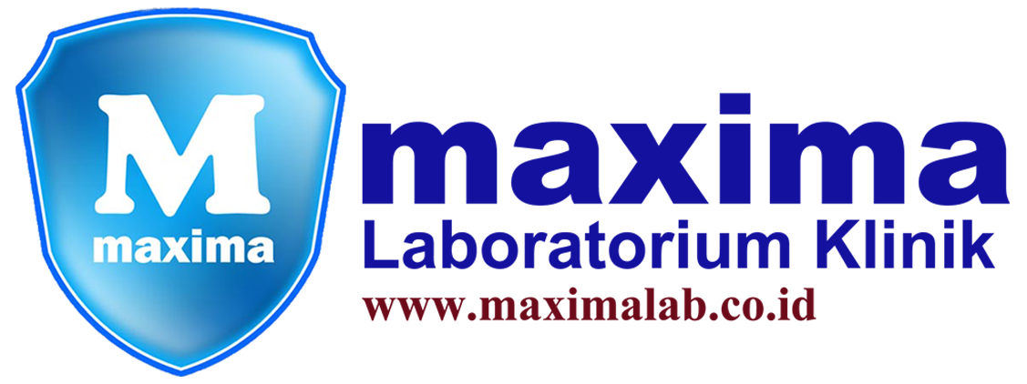Maxima Laboratory